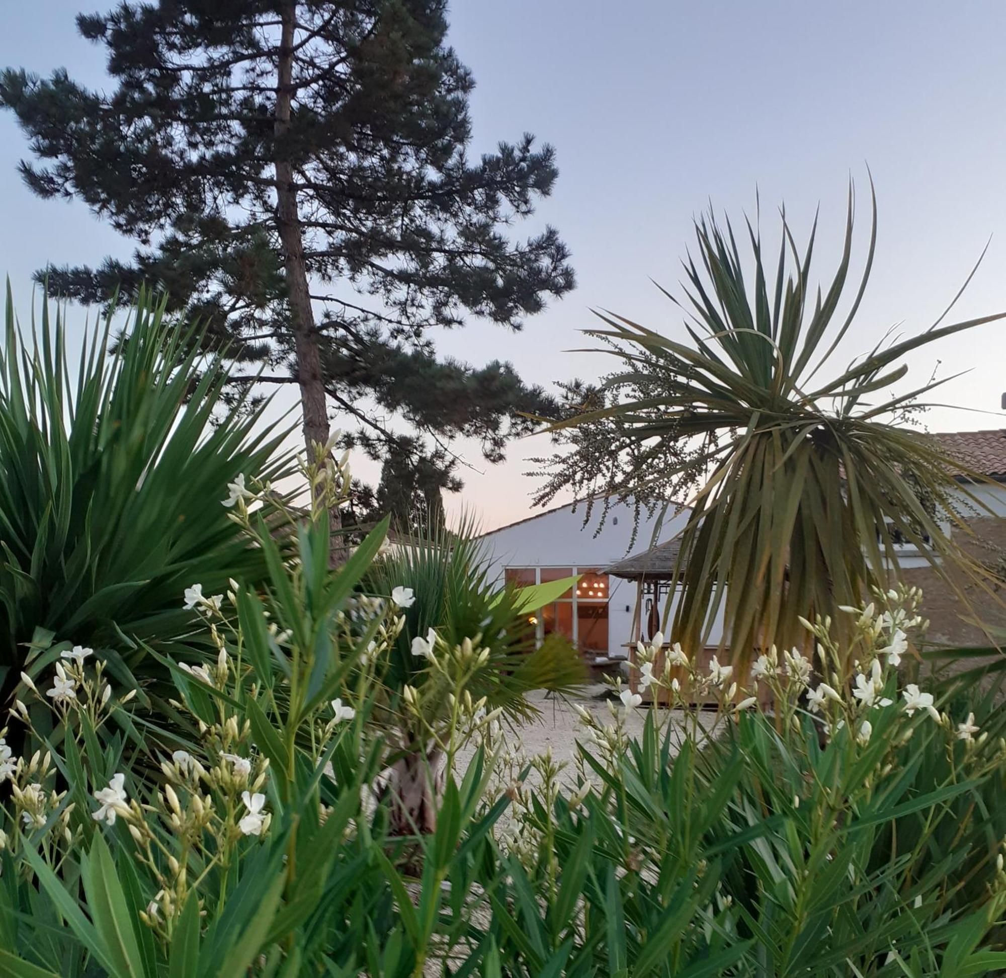 Hotel O Calme Brizambourg Exterior foto